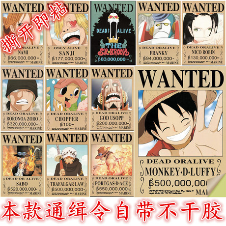 拳师/证书做假的